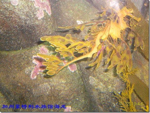 DP1290083_副本2013