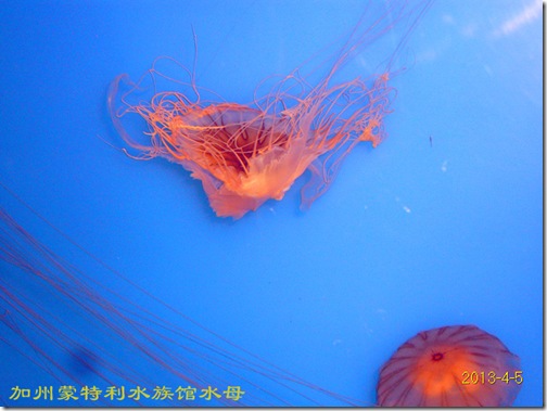 DP1290095_副本2013